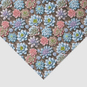 多肉植物 薄葉紙 (詳細)