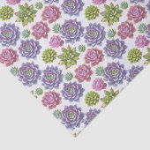 多肉植物 薄葉紙 (詳細)