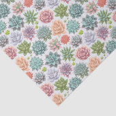 多肉植物 薄葉紙 (詳細)