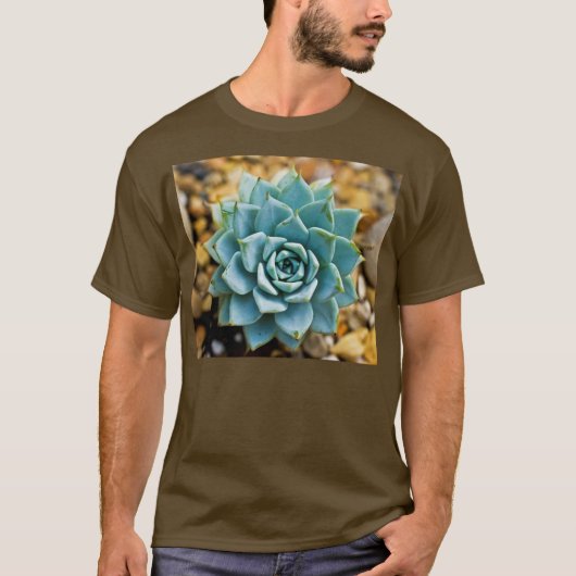 多肉植物 Tシャツ (正面)