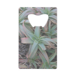 多肉母斑 クレジットカード栓抜き