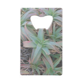 多肉母斑 クレジットカード栓抜き (裏面)