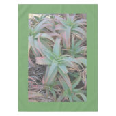 多肉母斑 テーブルクロス (正面)