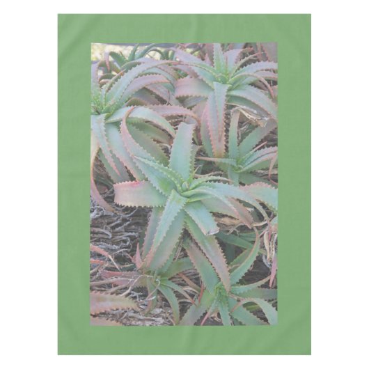 多肉母斑 テーブルクロス (正面)