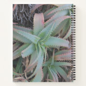 多肉母斑 ノートブック (裏面)