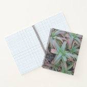 多肉母斑 ノートブック (内部)