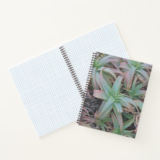 多肉母斑 ノートブック (内部)