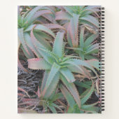 多肉母斑 ノートブック (裏面)