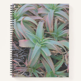 多肉母斑 ノートブック