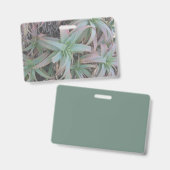 多肉母斑 バッジ (正面＆裏面)