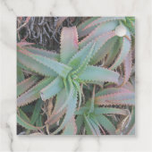 多肉母斑 フェイバータグ (裏面)