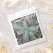 多肉母斑 フェイバーバッグ (クリップ留めされた状態)