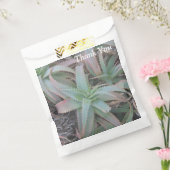 多肉母斑 フェイバーバッグ (封をした状態)