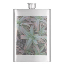 多肉母斑 フラスク