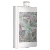 多肉母斑 フラスク (右)