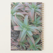 多肉母斑 プランナー手帳 (裏面)