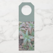 多肉母斑 ボトルネックタグ (裏面)