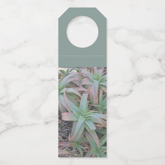 多肉母斑 ボトルネックタグ (裏面)