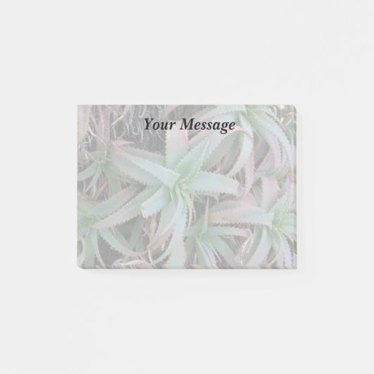 多肉母斑 ポストイット (正面)