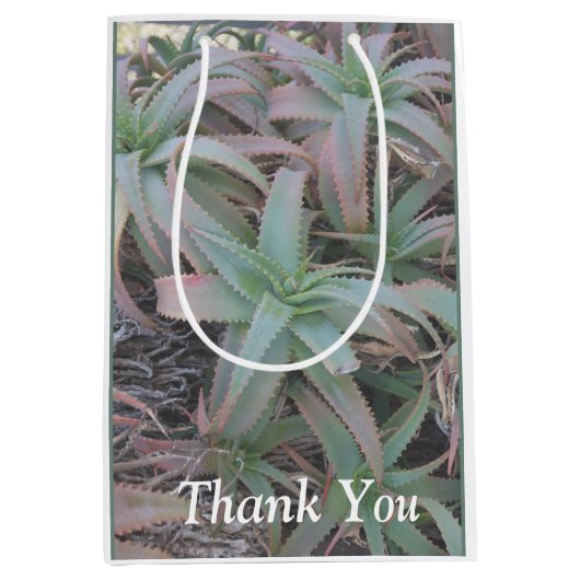 多肉母斑 ミディアムペーパーバッグ (正面)