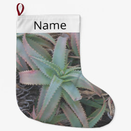 多肉母斑 ラージクリスマスストッキング