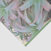 多肉母斑 薄葉紙 (詳細)