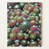 多肉毎週月の個人パーソナライズされた的 プランナー手帳 (裏面)