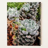 多肉毎週月の個人パーソナライズされたPl プランナー手帳 (裏面)