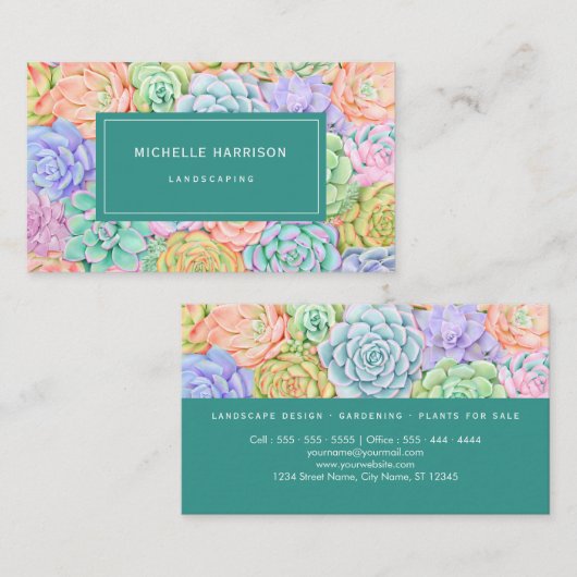 多肉水彩パステルカラフルガーデニング 名刺 (正面/裏面)