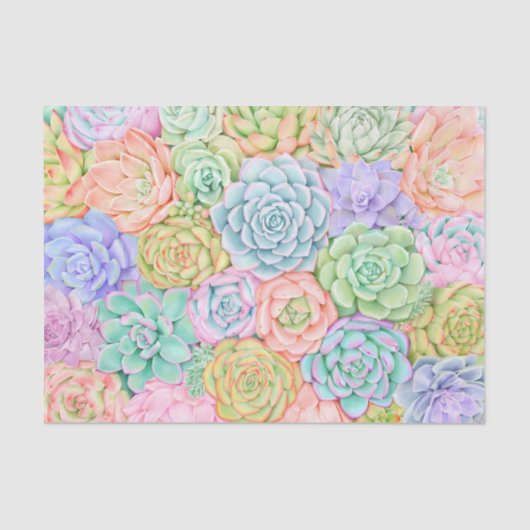 多肉水彩可愛いパカラフルステル 薄葉紙 (正面)