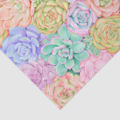 多肉水彩可愛いパカラフルステル 薄葉紙 (詳細)