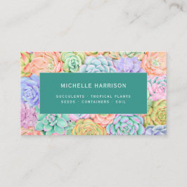 多肉水色植物カラフル店QRコード 名刺