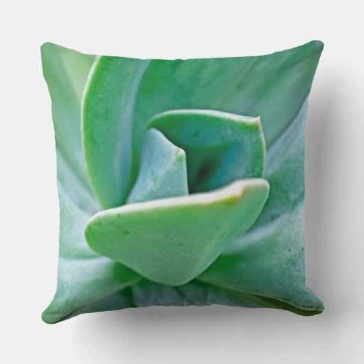 多肉渦 クッション (裏面)