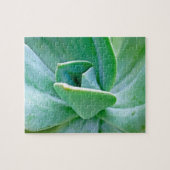 多肉渦 ジグソーパズル (横)