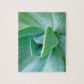 多肉渦 ジグソーパズル (縦)