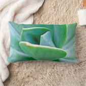 多肉渦 ランバークッション (ブランケット)