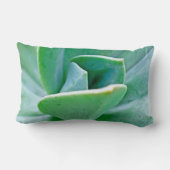 多肉渦 ランバークッション (裏面)