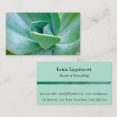 多肉渦 名刺 (正面/裏面)