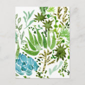 多肉球 ポストカード (正面)