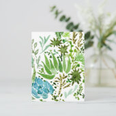 多肉球 ポストカード (スタンド正面)