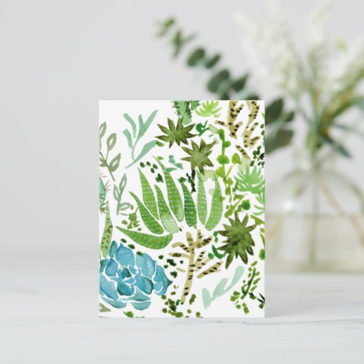 多肉球 ポストカード (スタンド正面)