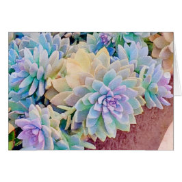 多肉的なグリーティングカード