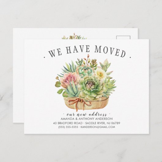 多肉的な動きの発表 案内ポストカード (正面/裏面)