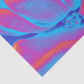 多肉的な謎 薄葉紙 (詳細)