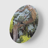 多肉眼の時計 ラウンド壁時計 (傾斜)