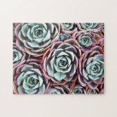 多肉砂漠のバラサボテン色の写真11 x 14 ジグソーパズル (横)