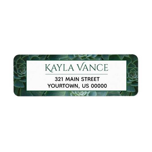 多肉砂漠の熱帯植物植物ラベル ラベル (正面)