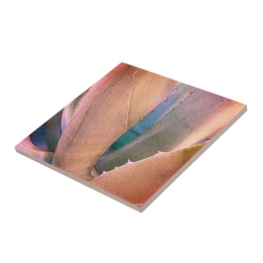 多肉砂漠の タイル (側面)