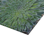 多肉種の砂漠植物 カッティングボード (角)
