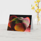 多肉種の砂漠植物 カード (黄色い花)